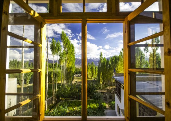 Cost of Wood Window Replacement in Flower Mound